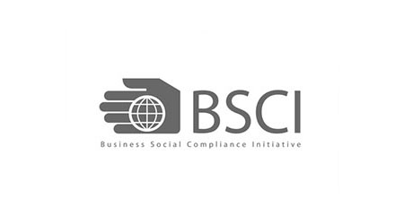 BSCI